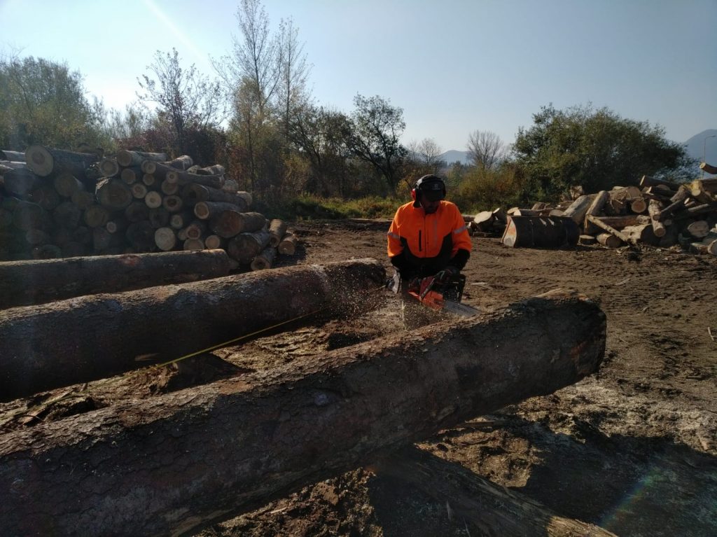 corwoodexport.eu-timber-wood-logs-EU