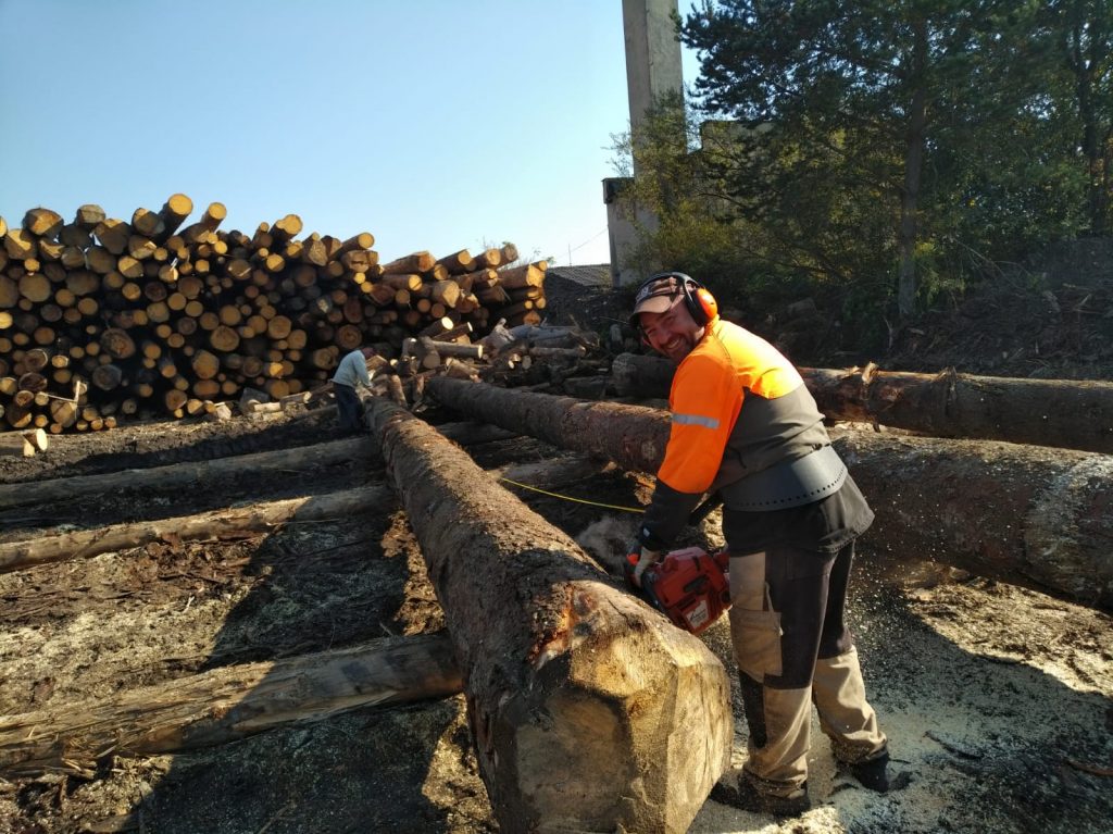 corwoodexport.eu-timbers-wood-logs-work