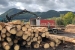 www.corwoodexport.eu-harvesting-logs-Slovakia
