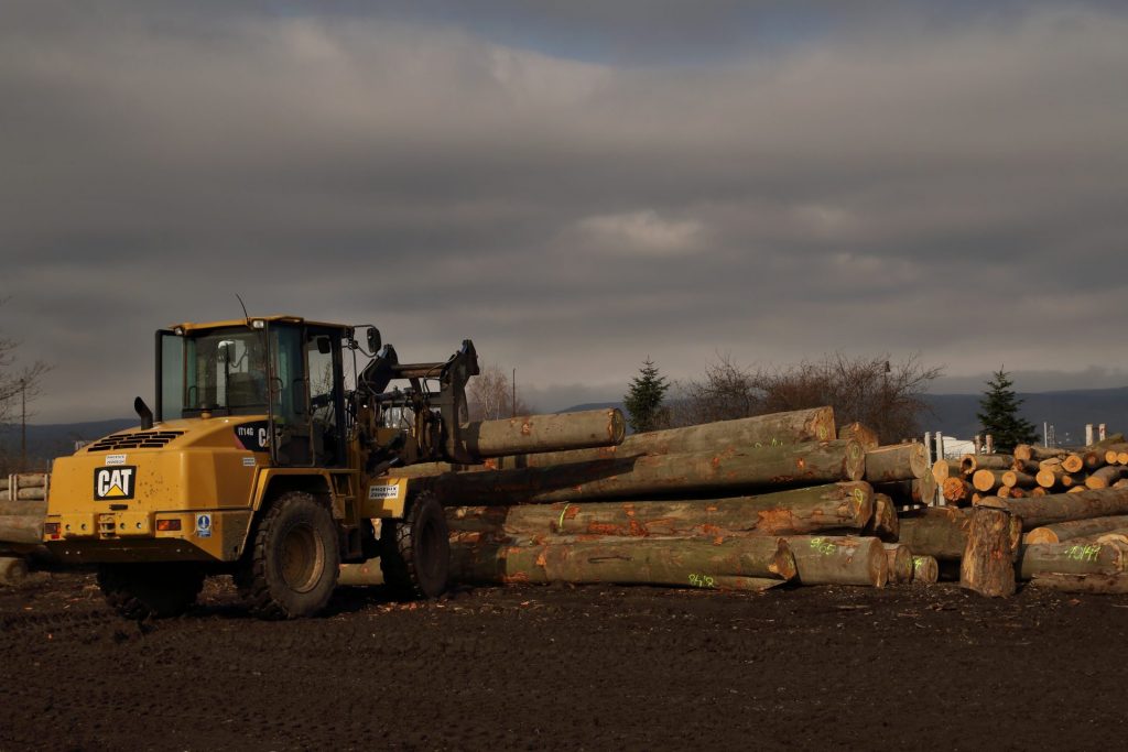 www.corwoodexport.eu-harvesting-logs-Slovakia-wood