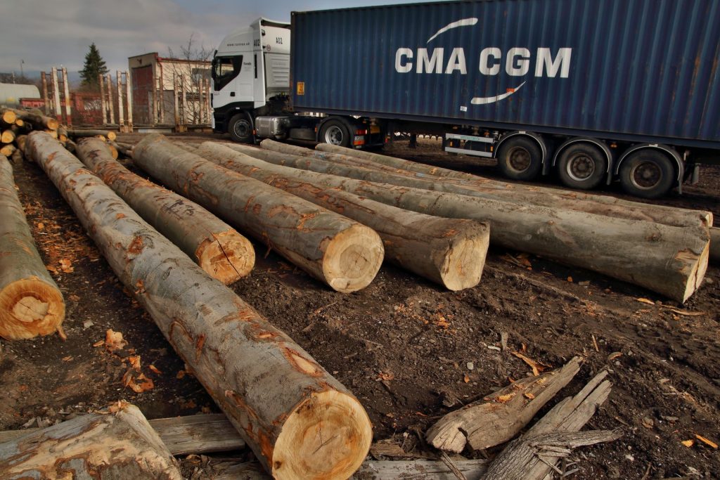 www.corwoodexport.eu-log-wood-shipping-logging