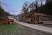 www.corwoodexport.eu-logs-wood-logging
