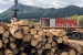 www.corwoodexport.eu-saw-log-Slovakia-wood