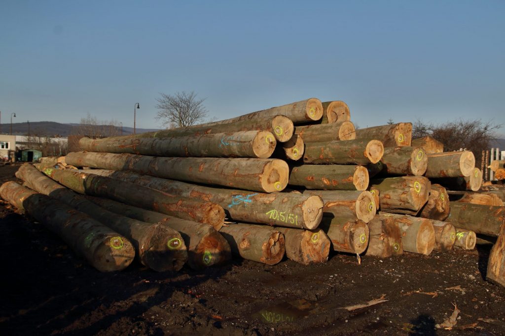 www.corwoodexport.eu-saw-logs-wood