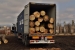 www.corwoodexport.eu-shipping-logs-Europe-to-the-World