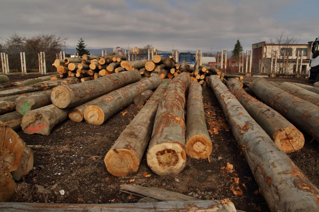 www.corwoodexport.eu-wood-logs-best-quality-Europe-Slovakia